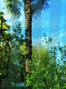 Replacement Windows & Exterior Doors